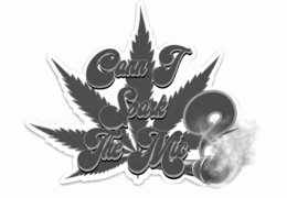 CANN I SPARK THE MIC? logo