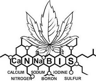 CANNABIS CALCIUM NITROGEN SODIUM BORON IODINE SULFUR logo