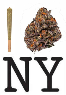 CANNABIS NYC logo