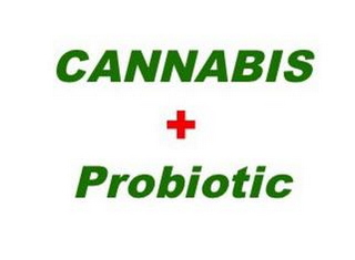 CANNABIS + PROBIOTIC logo