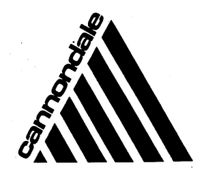 CANNONDALE logo