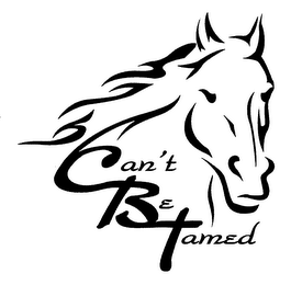 CAN'T BE TAMED logo