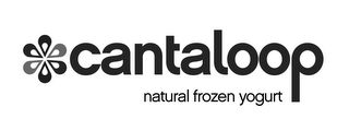 CANTALOOP NATURAL FROZEN YOGURT logo