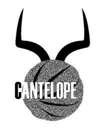 CANTELOPE logo