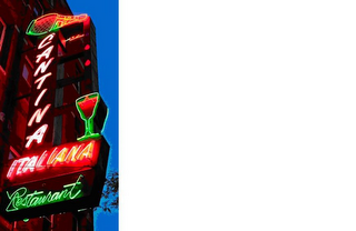 CANTINA ITALIANA RESTAURANT logo