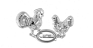 CANTRELL logo