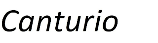 CANTURIO logo