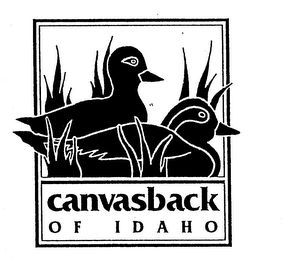 CANVASBACK OF IDAHO