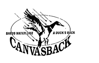 CANVASBACK SHEDS WATER LIKE A DUCK'S BACK logo