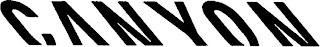 CANYON logo