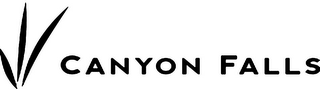 CANYON FALLS logo