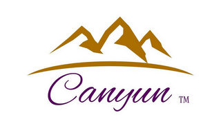 CANYUN logo