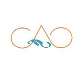 CAO logo
