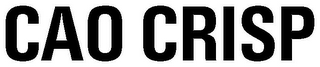 CAO CRISP logo