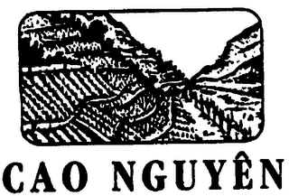 CAO NGUYEN logo