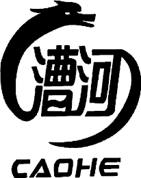 CAOHE logo