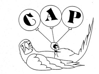 CAP logo