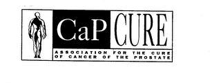 CAP CURE ASSOCIATION FOR THE CURE OF CANCER OF THE PROSTATE logo