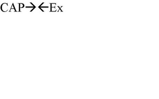 CAP EX logo