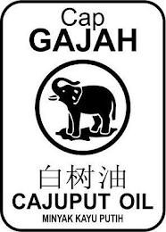 CAP GAJAH CAJUPUT OIL MINYAK KAYU PUTIH logo