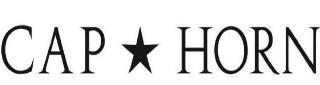 CAP HORN logo