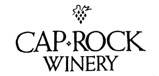 CAP ROCK WINERY