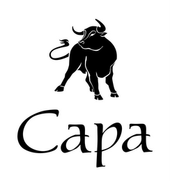 CAPA logo