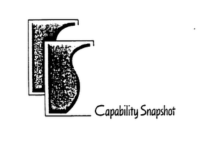 CAPABILITY SNAPSHOT logo