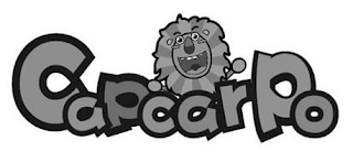 CAPCARPO logo