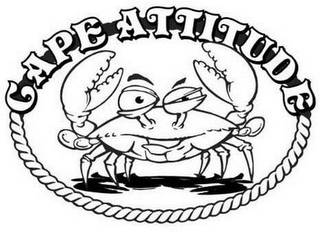 CAPE ATTITUDE logo