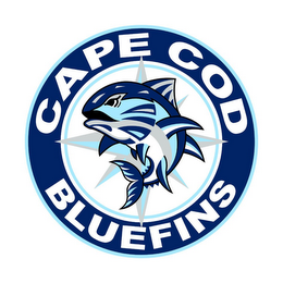 CAPE COD BLUEFINS logo