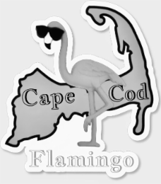 CAPE COD FLAMINGO logo