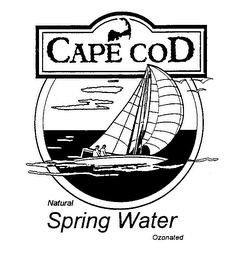 CAPE COD NATURAL SPRING WATER OZONATED logo