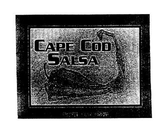 CAPE COD SALSA logo