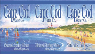 CAPE COD WATER CO. NATURAL SPRING WATER logo