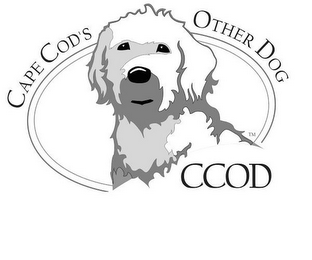 CAPE COD'S OTHER DOG CCOD logo