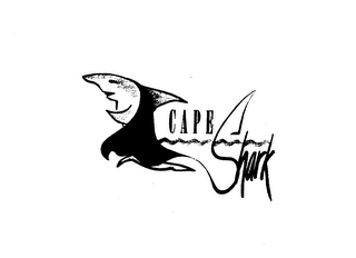 CAPE SHARK logo
