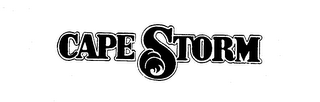 CAPE STORM logo