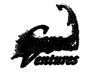 CAPE VENTURES logo