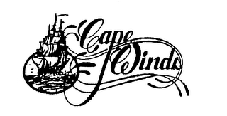 CAPE WINDS logo