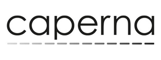 CAPERNA logo