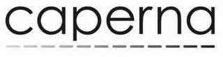 CAPERNA logo