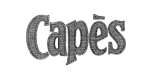 CAPES logo