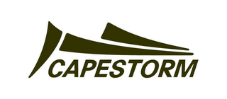 CAPESTORM logo