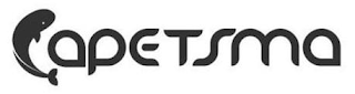CAPETSMA logo