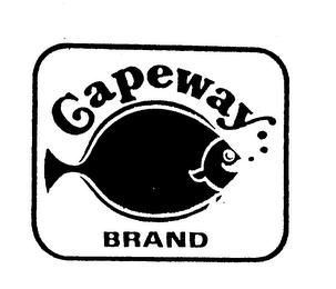 CAPEWAY BRAND logo