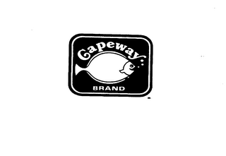 CAPEWAY BRAND logo