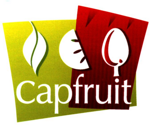 CAPFRUIT logo