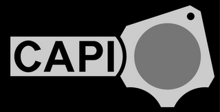 CAPI logo