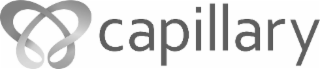 CAPILLARY logo